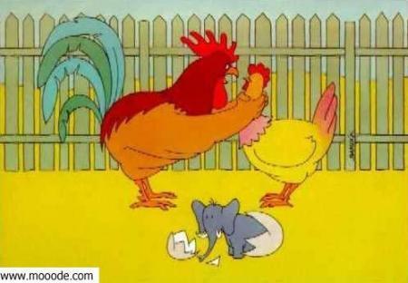 wald man hada goli lia wala n9oj bouk yalah dwi  kat khoniny m3a fil a bent lahram awili awily n9tal rasi wala achno ndir toma golo lia achno ndir khalitha simana waldat lia fil ama ila khalitha 3am t